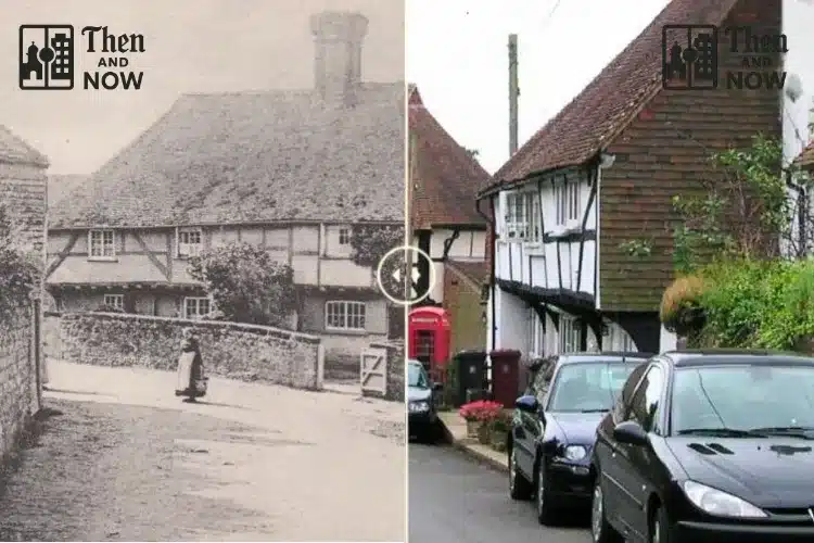 Byworth Sussex 1900 – 2024