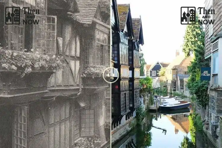 Old Waeavers Canterbury 1900 – 2024