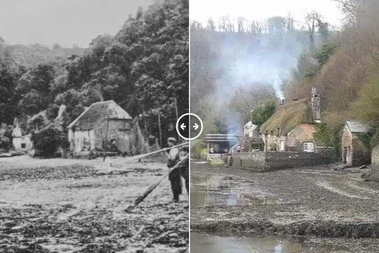 Dittisham Devon1931 – 2024 - BOTH