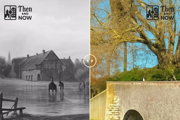 Eynsford, Kent 1909 - 2026 - BOTH