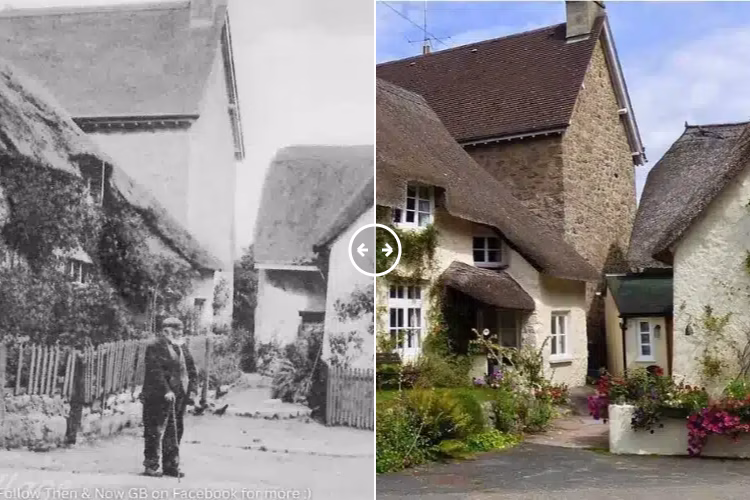 Lustleigh Village Devon 1936 – 2024 - BOTH
