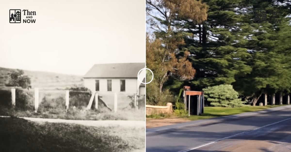 Main South Road, Normanville 1920 – 2025