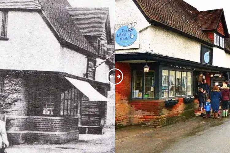 Shere Surrey 1918 – 2023 - BOTH