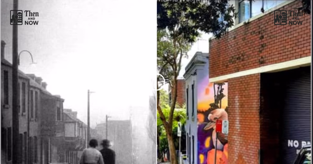 Sophia Street, Surry Hills 1911 – 2025