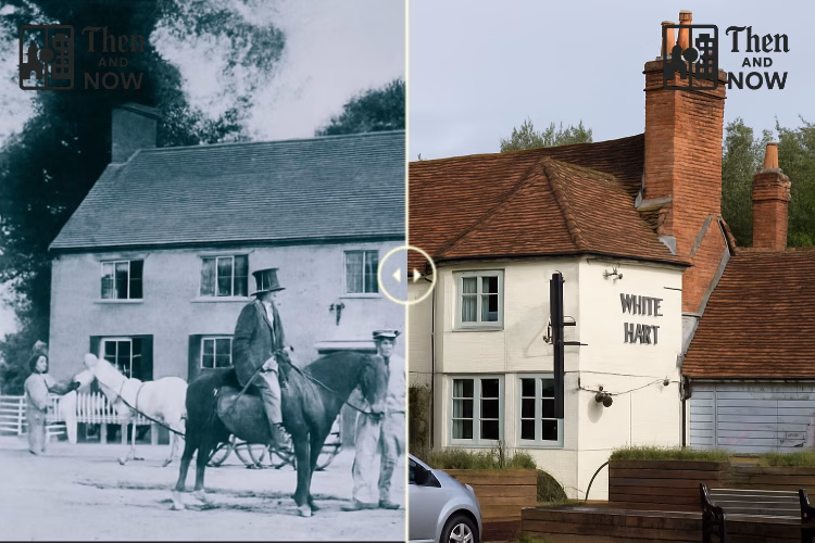 White Hart Inn, Reading Road, Sherfield on Loddon 1856 – 2026
