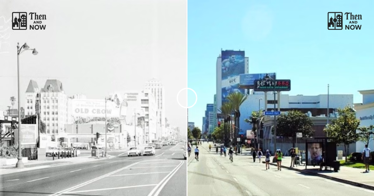 Wilshire Boulevard, LA 1960 – 2015